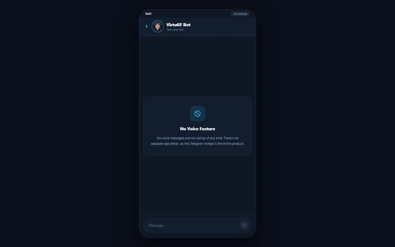 VirtuGF chat screen showing that no voice message or calling feature exists on the platform VirtuGF chat screen showing that no voice message or calling feature exists on the platform